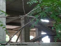 Imagine atasata: Biserica Baader - 2014.08.24 - 07.jpg